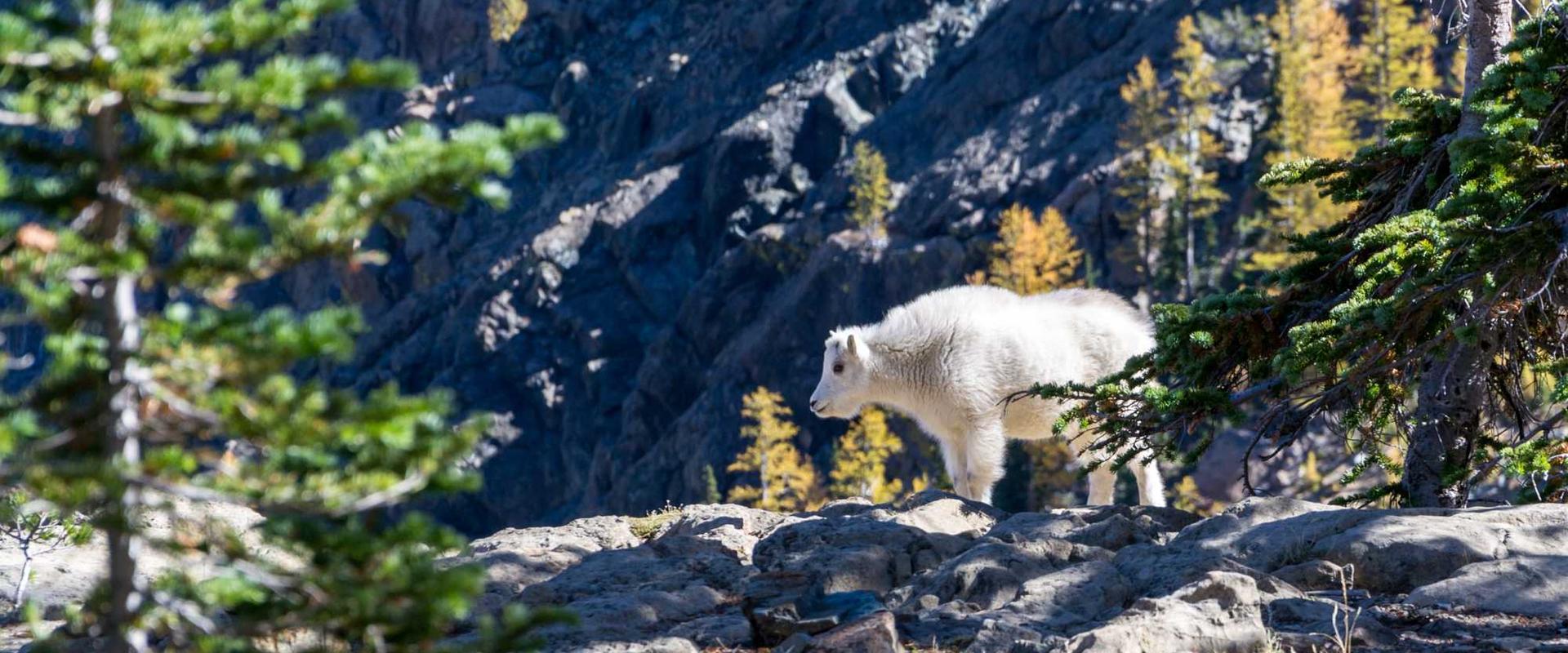Are you sitting and sleeping comfortably in your saloon?